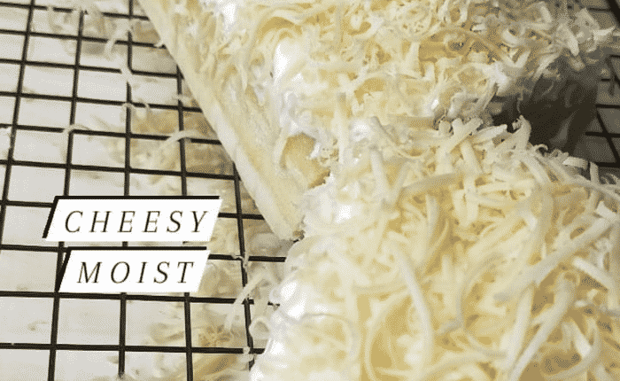 Cheesy Moist